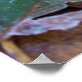 紅葉ポスター紙（マット） ポスター (角)