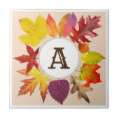 紅葉モノグラム タイル (正面)