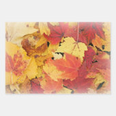 紅葉ラッピング紙フラットシートセット3 ラッピングペーパーシート (正面2)