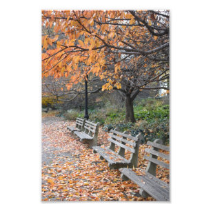 紅葉リバーサイドパークニューヨークシティNYC フォトプリント