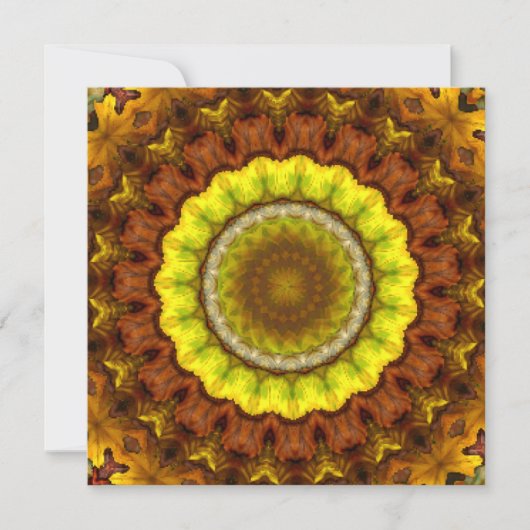 紅葉万華鏡のように千変万化するパターン曼荼羅 (正面)