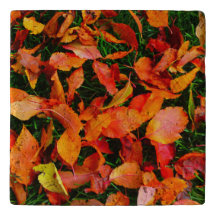 紅葉三徳トラバーチン