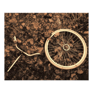 紅葉付き自転車部品 フォトプリント