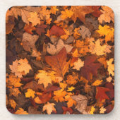 紅葉写真 コースター (正面)