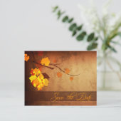 紅葉動揺してヴィンテージ保存日 案内ポストカード (スタンド正面)