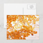 紅葉反射 ポストカード (正面/裏面)