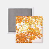 紅葉反射 マグネット (正面/裏面)