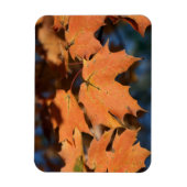 紅葉可撓磁石 マグネット (縦)