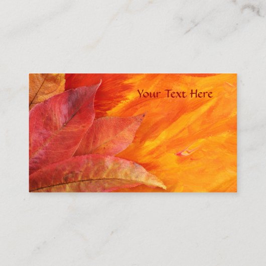 紅葉名刺 名刺 (裏面)