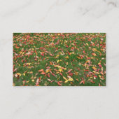 紅葉名刺 名刺 (裏面)