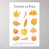 紅葉回収水彩 ポスター (正面)