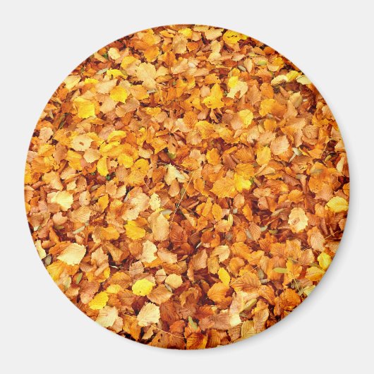 紅葉大型丸磁石 マグネット (正面)