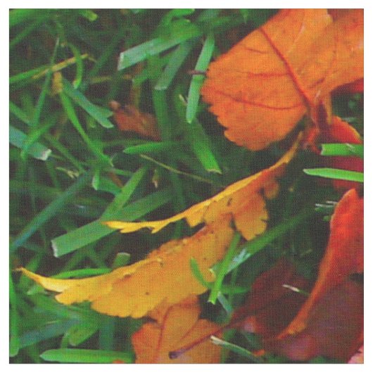紅葉布 ファブリック (クローズアップ)