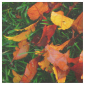 紅葉布 ファブリック (見本)