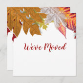紅葉引っ越しました移動告知カード 案内状 (正面/裏面)