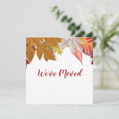 紅葉引っ越しました移動告知カード 案内状 (スタンド正面)