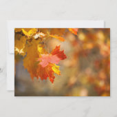 紅葉感謝祭の招待 招待状 (裏面)