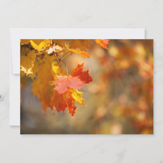 紅葉感謝祭の招待 招待状 (裏面)