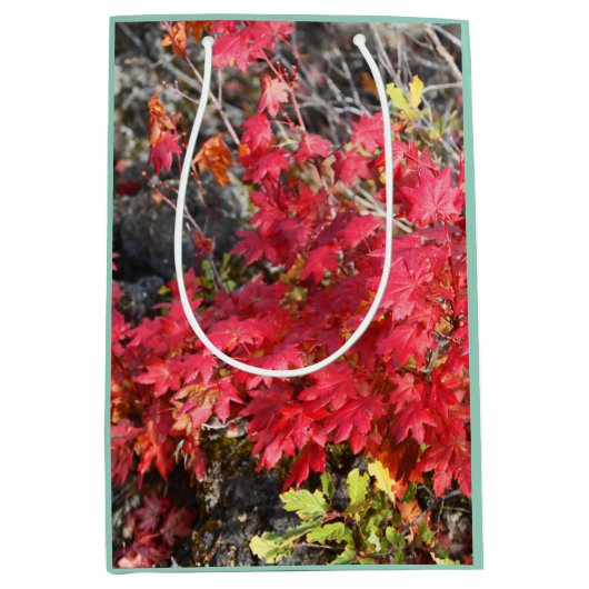 紅葉抱き枕 ミディアムペーパーバッグ (正面)