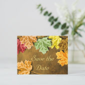 紅葉日付ポストカードの保存 案内ポストカード (スタンド正面)