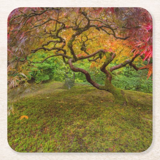 紅葉日本のの紅葉 スクエアペーパーコースター (正面)