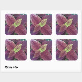 紅葉植物大角ステッカー スクエアシール (シート)