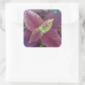 紅葉植物大角ステッカー スクエアシール (バッグ)