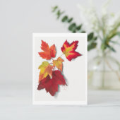 紅葉植物学イラストレーション ポストカード (スタンド正面)