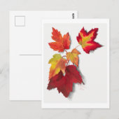 紅葉植物学イラストレーション ポストカード (正面/裏面)