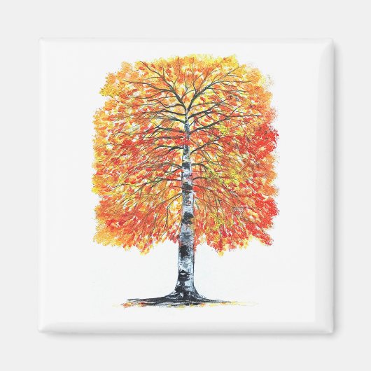 紅葉樺の木 マグネット (正面)