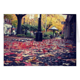 紅葉歩道ビュー