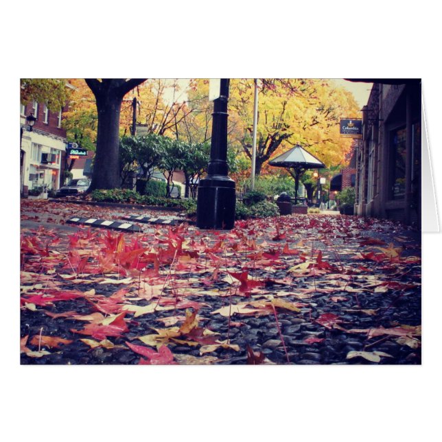 紅葉歩道ビュー (正面横)