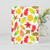 紅葉水彩白色 (スタンド正面)