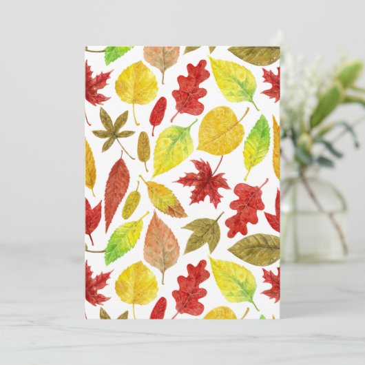 紅葉水彩白色 (スタンド正面)