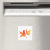 紅葉水彩 マグネット (インサイチュ (食洗機))