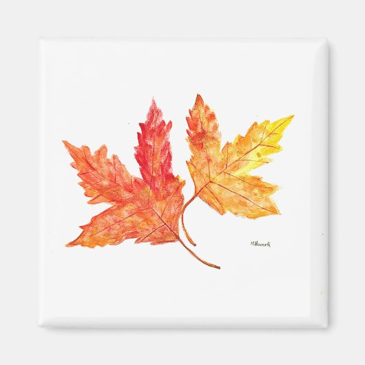 紅葉水彩 マグネット (正面)
