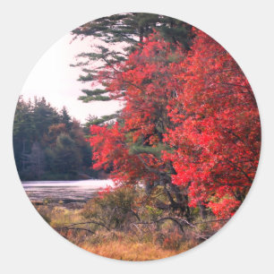 紅葉池自然 ラウンドシール