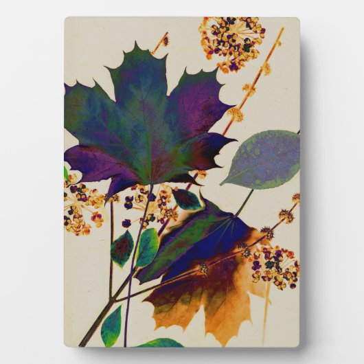 紅葉王室のの色 フォトプラーク (正面)