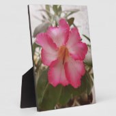 紅葉白花フローラ自然グレーデンpl フォトプラーク (側面)