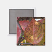 紅葉磁石 マグネット (正面/裏面)