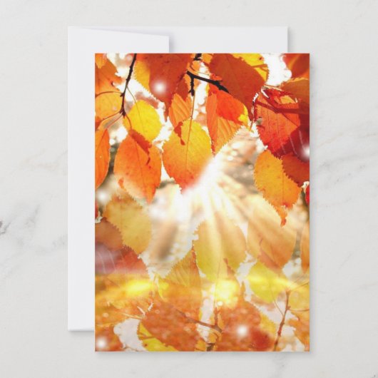 紅葉秋の結婚式リハーサル招待状 招待状 (裏面)