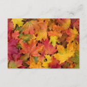 紅葉秋の色の結婚式 エンクロージャーカード (裏面)