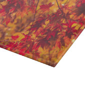 紅葉秋の葉自然 カッティングボード (角)