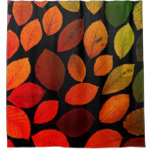 紅葉秋カラフル自然季節葉 シャワーカーテン (正面)