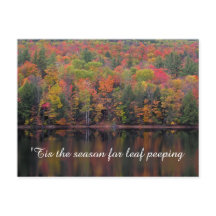 紅葉秋カラーシーンはがき