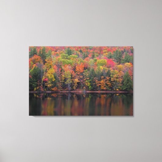 紅葉秋カラーシーンキャンバス印刷 キャンバスプリント (正面)