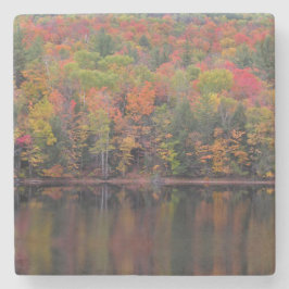 紅葉秋カラーシーンストーンコースター ストーンコースター