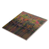 紅葉秋カラーシーンセラミックタイル タイル (側面)