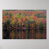 紅葉秋カラーシーンポスター ポスター (正面)