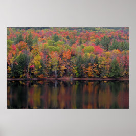 紅葉秋カラーシーンポスター ポスター